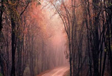 中超第3轮：梅州客家vs山东泰山：复仇之火与传统豪门的宿命对决.