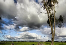 CBA：山西上演25分“大逆转”战胜新疆2025-01-06.